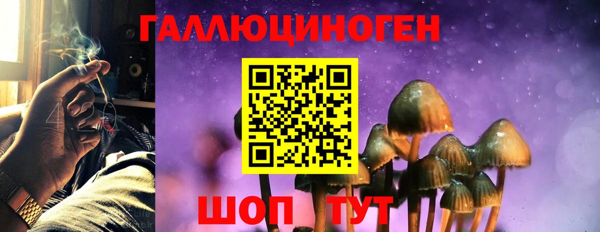 Галлюциногенные грибы ЛСД  наркошоп  Тольятти  Вход с VPN 